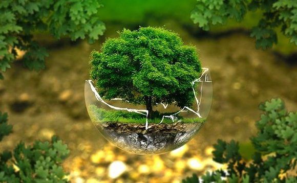 Curation Corp Launches ESG Risk-Monitoring Platform